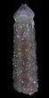 Dark Cactus Quartz (Amethyst) Crystal - South Africa #64229-1